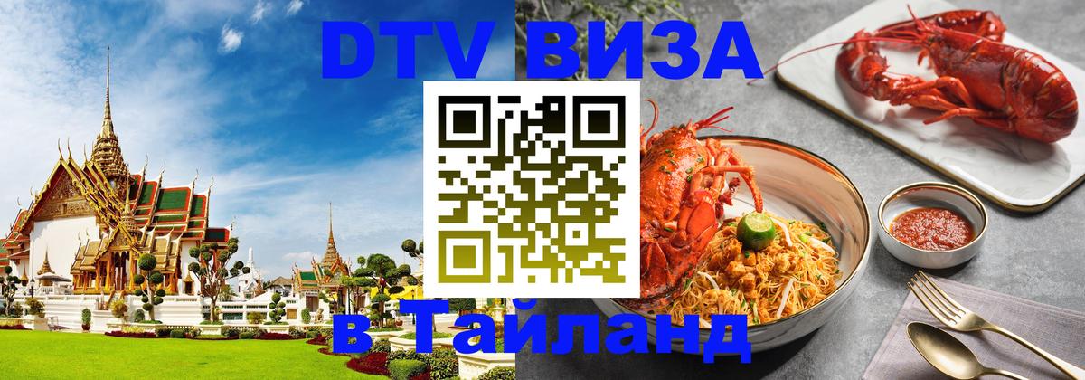 Оформление DTV визы под ключ: стоимость и тарифы, только загранпаспорт - Тула 